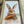 Load image into Gallery viewer, Bunny Eating Carrot
