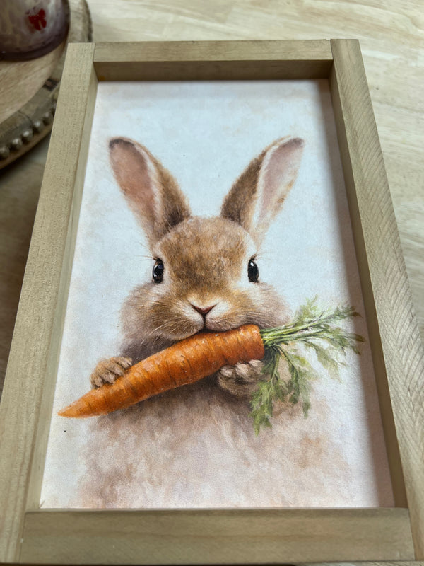 Bunny Eating Carrot