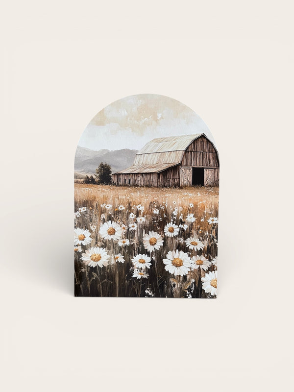 Summer Barn, Arch