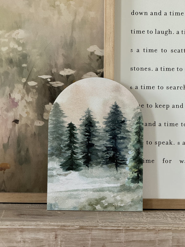 Evergreens Portrait, Arch