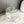 Load image into Gallery viewer, Lemon Icon Glass
