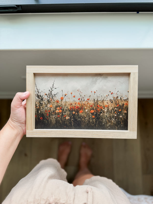 Fall Wildflower Field
