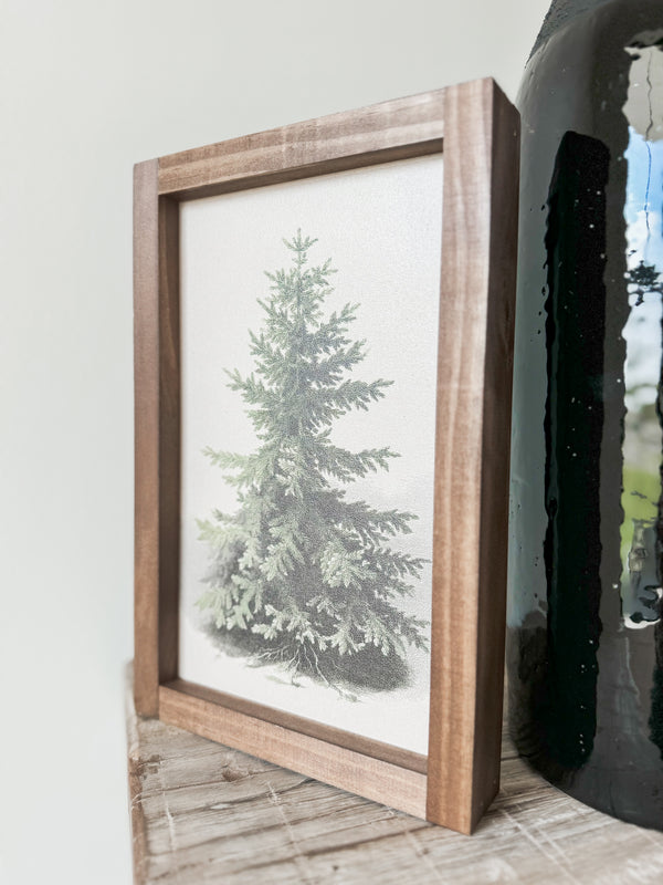 Evergreen Vintage Print