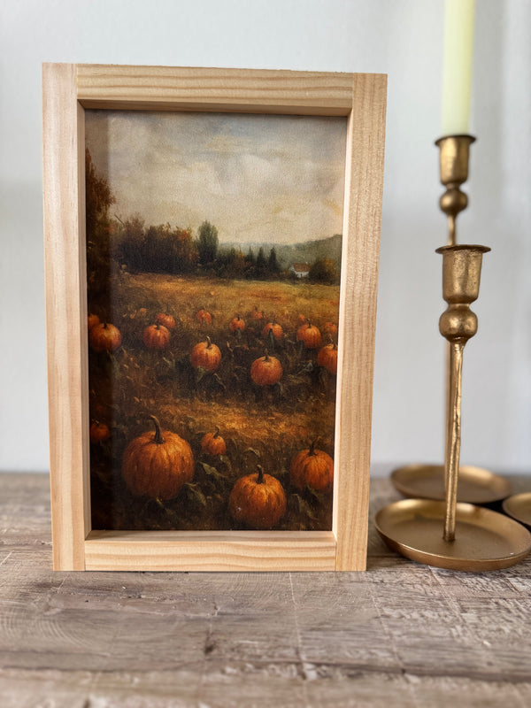 Pumpkin Patch