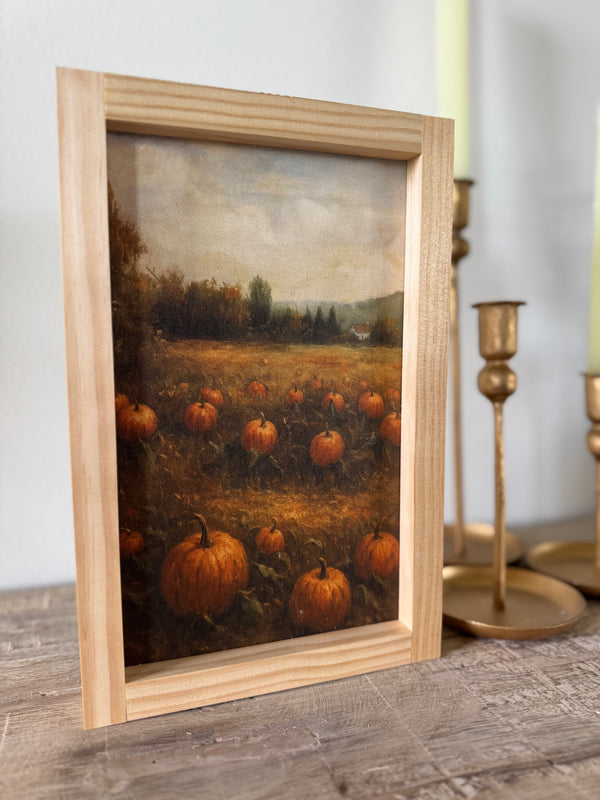 Pumpkin Patch