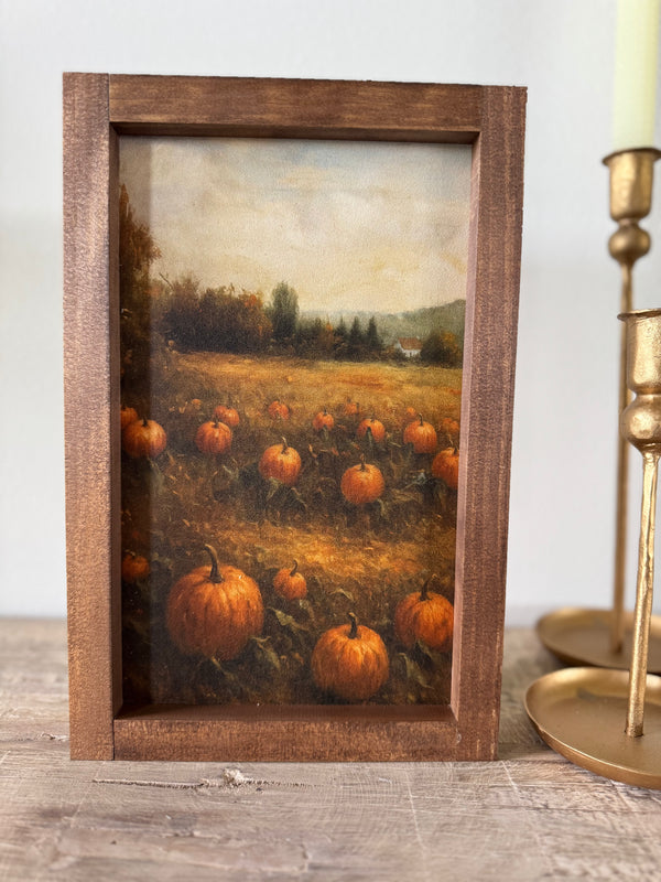 Pumpkin Patch