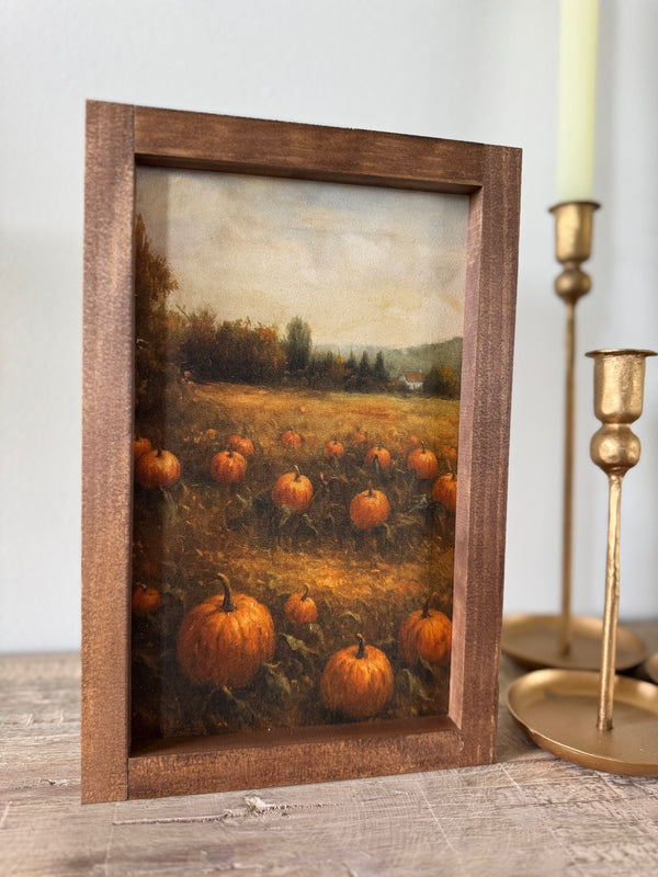 Pumpkin Patch
