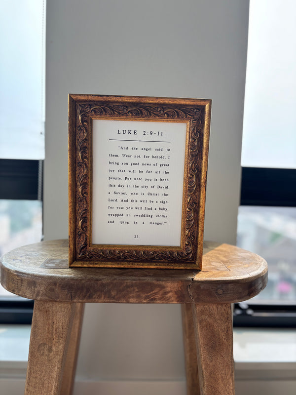 Luke 2 Book Page