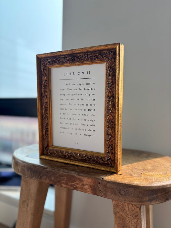 Luke 2 Book Page