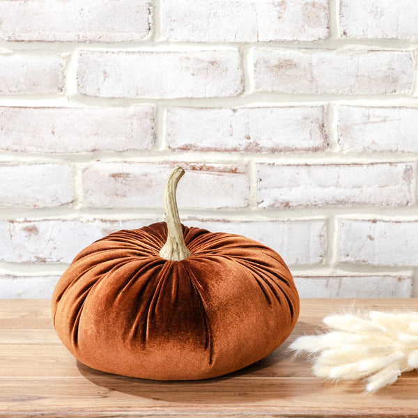 Velvet Pumpkin, Medium