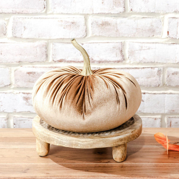 Velvet Pumpkin, Medium