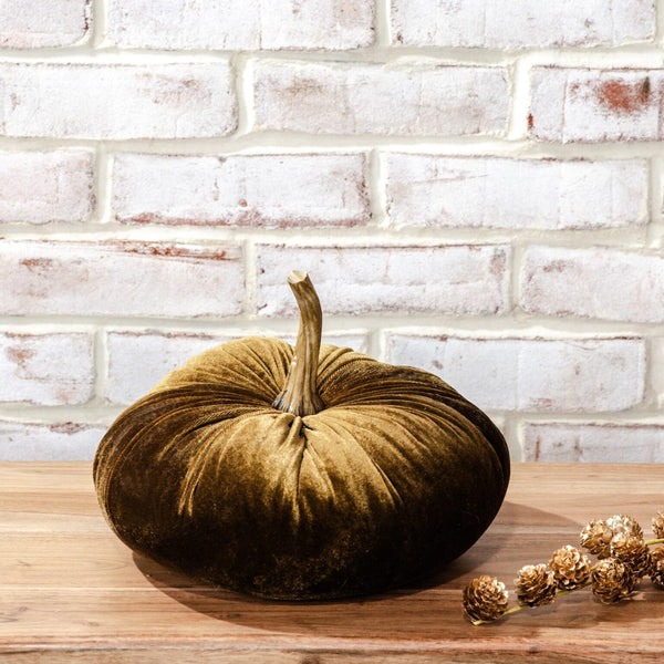 Velvet Pumpkin, Medium