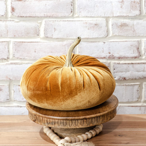 Velvet Pumpkin, Medium