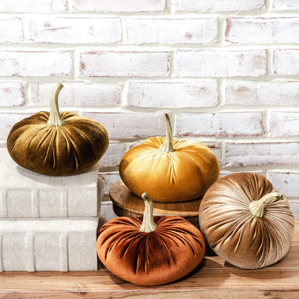 Velvet Pumpkin, Medium