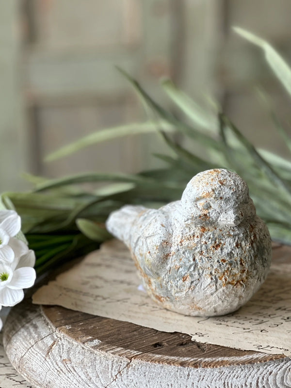 Rustic Wren Sitting