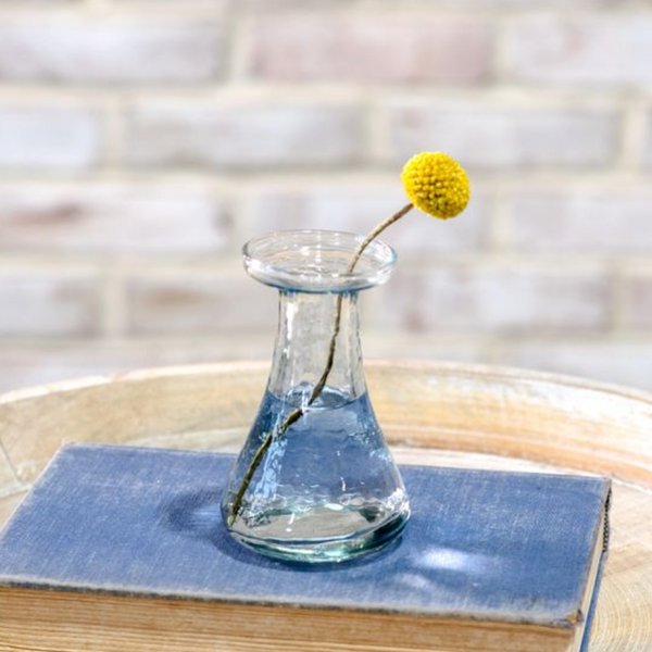 Glass Bud Vase