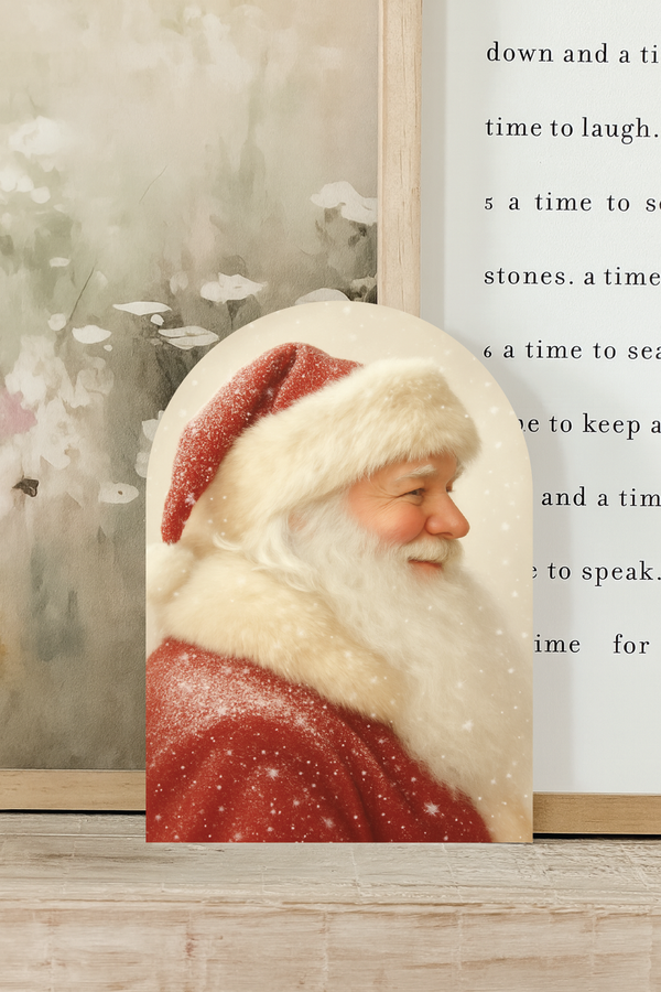 Snowy Santa, Arch