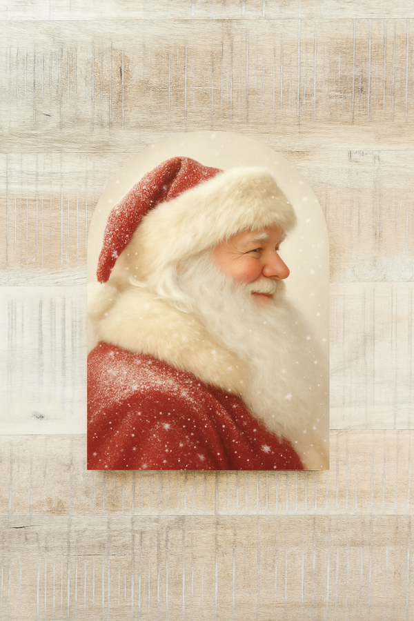 Snowy Santa, Arch