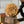 Load image into Gallery viewer, Sungold Half Sphere
