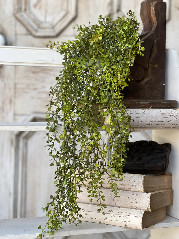 Baby's Grass Hanging