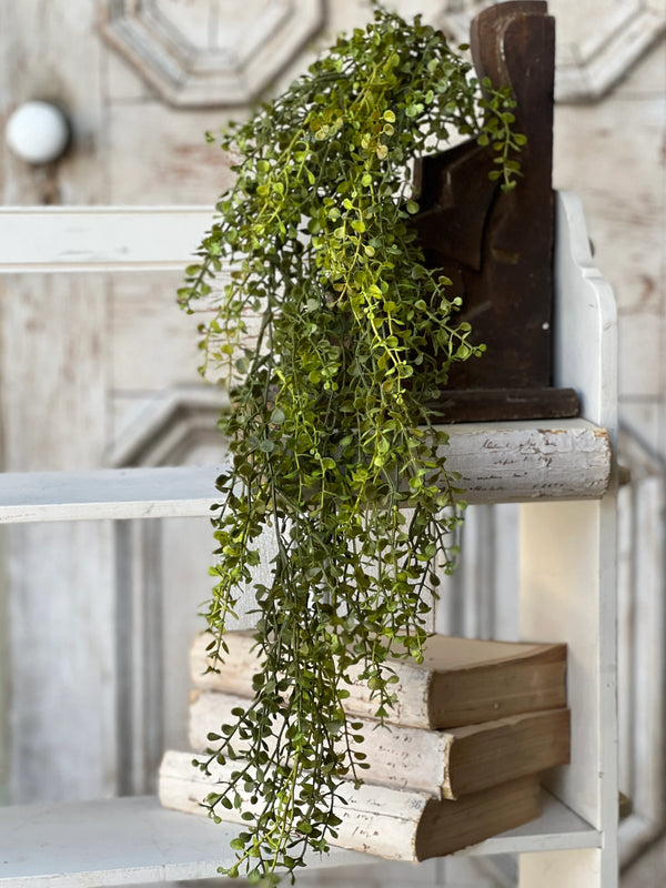 Baby's Grass Hanging