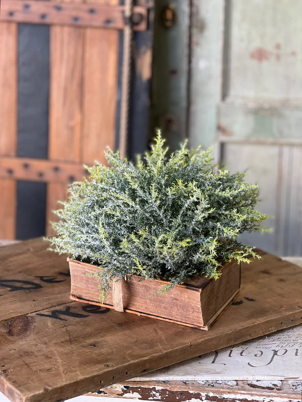 Glitzen Pine Half Sphere