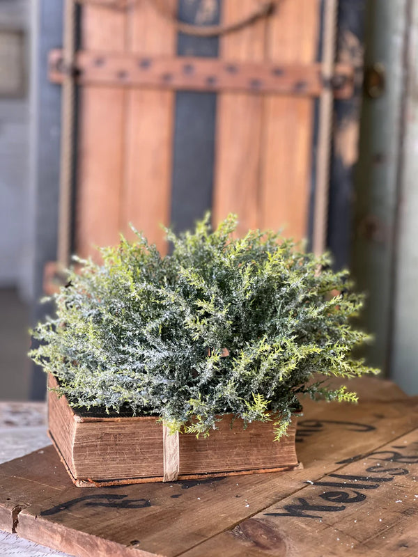 Glitzen Pine Half Sphere