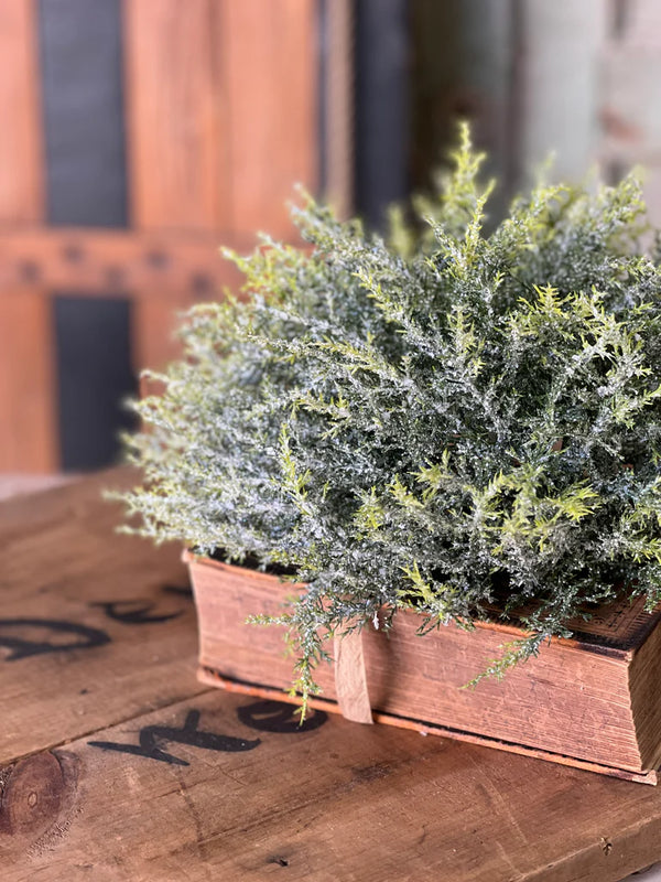 Glitzen Pine Half Sphere