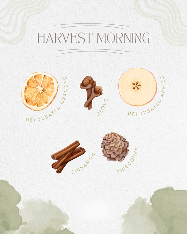 Harvest Morning Simmer Pot