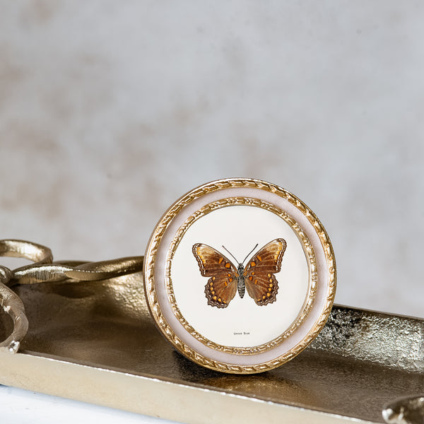 Round Golden Butterfly Frame
