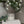 Load image into Gallery viewer, Hobnail Flameless Candle
