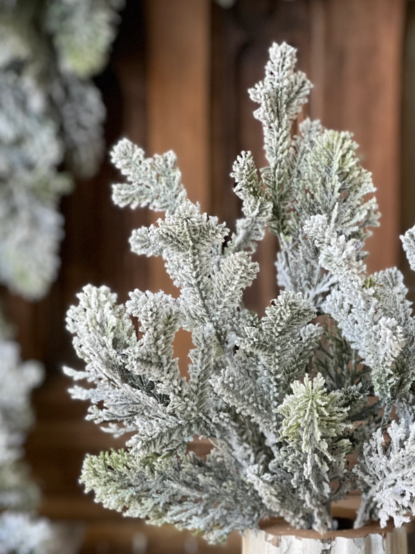 Snowy Pine Stem