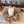 Load image into Gallery viewer, Burnished Leaf Candle Ring
