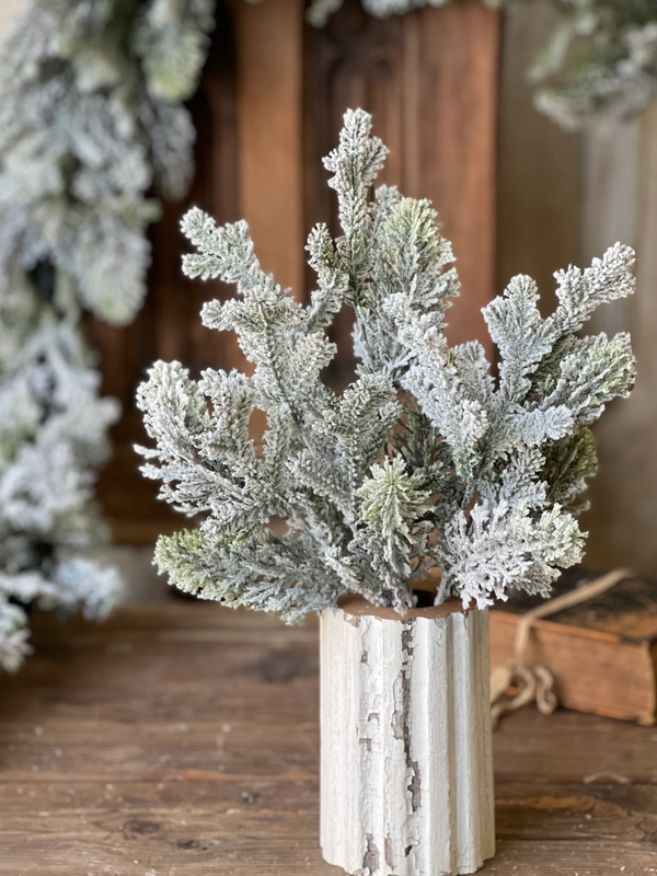 Snowy Pine Stem