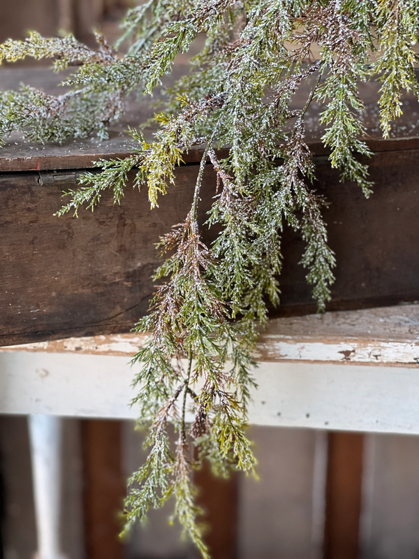 Prickly Pine Hanging