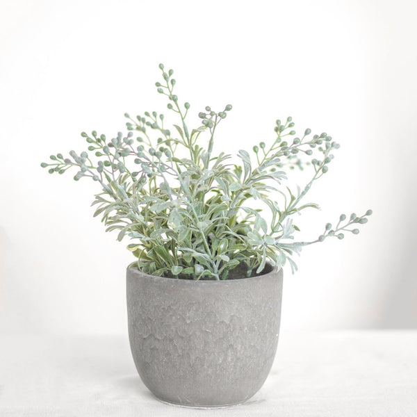 Wildflowers in Cement Pot