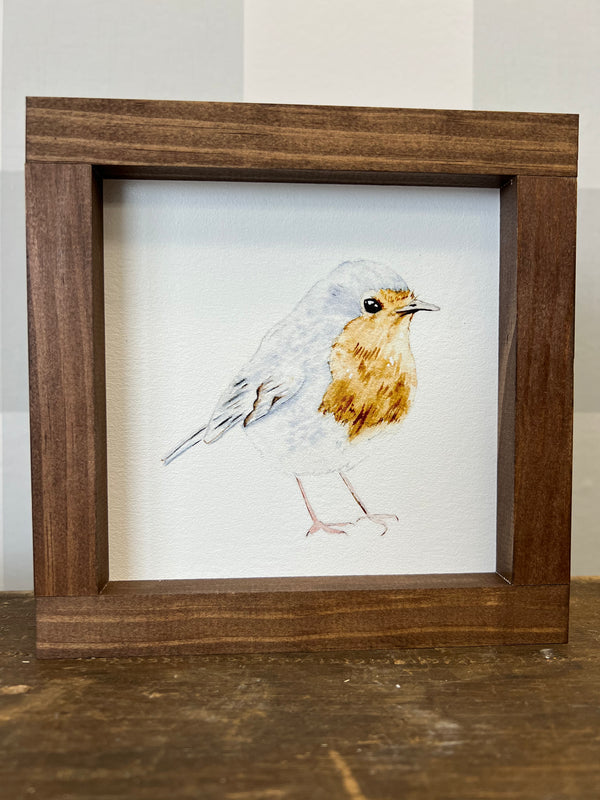 Robin Mini