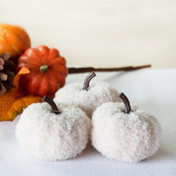 Teddy Cloth Mini Pumpkins
