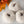 Load image into Gallery viewer, Teddy Cloth Mini Pumpkins
