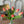 Load image into Gallery viewer, Tulip Bundles

